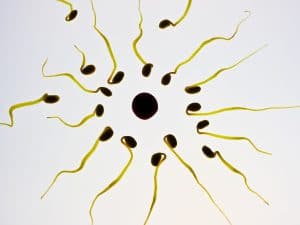 Spermienmotilität