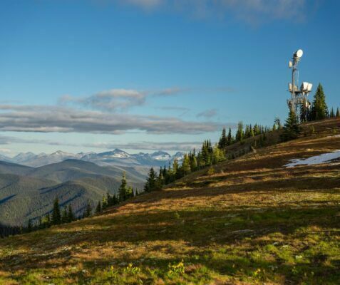 WiFi Tower on a hill with trees