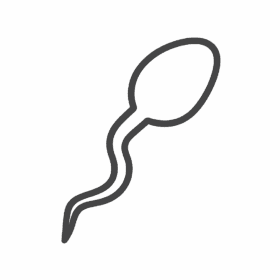 Sperm